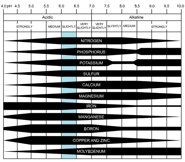 Nutrient Lockout Chart