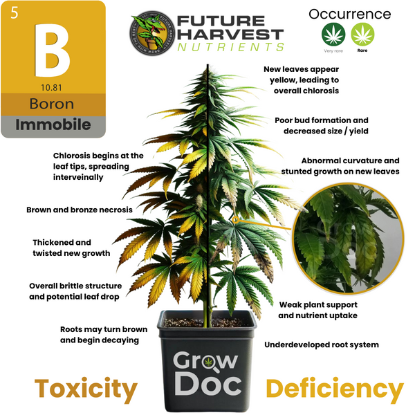 Boron Toxicity and Deficiency Chart