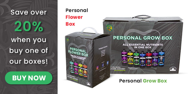 Save 20% when you buy a personal nutrient box! Personal Grow Box and a Personal Flower Box with a "BUY NOW" button beside.