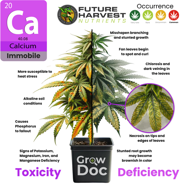 Photos of Calcium Deficiency and Toxicity Symptoms in Cannabis Plants