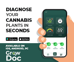 Get the Grow Doc App today