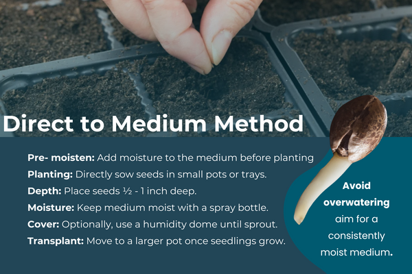 How to do The Direct To Medium Method when Germinating Cannabis Seeds