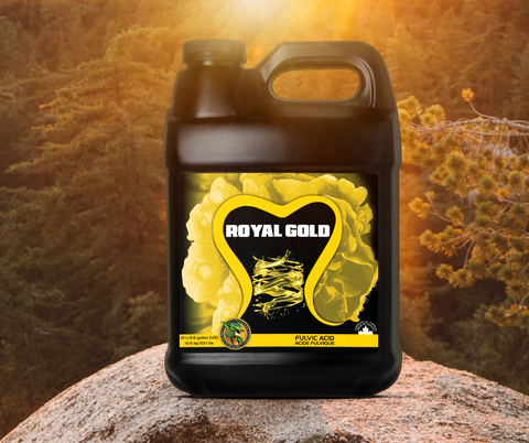 Future Harvest's Royal Gold placed on a rock with a forest and beaming sun in the background.