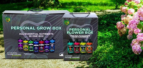 Personal Grow Box & Personal Flower Box