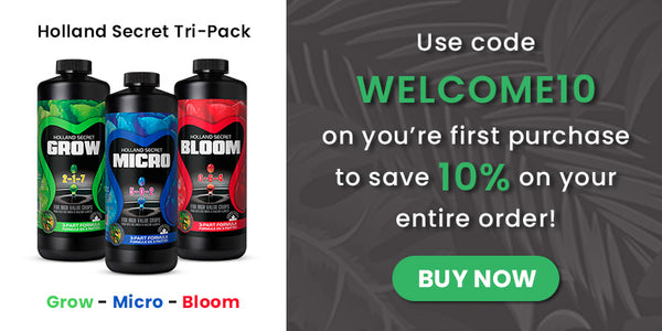 Save 10% when you use code "WELCOME10" on your first order! A Holland Secret Tri-Pack with a "BUY NOW" button beside.