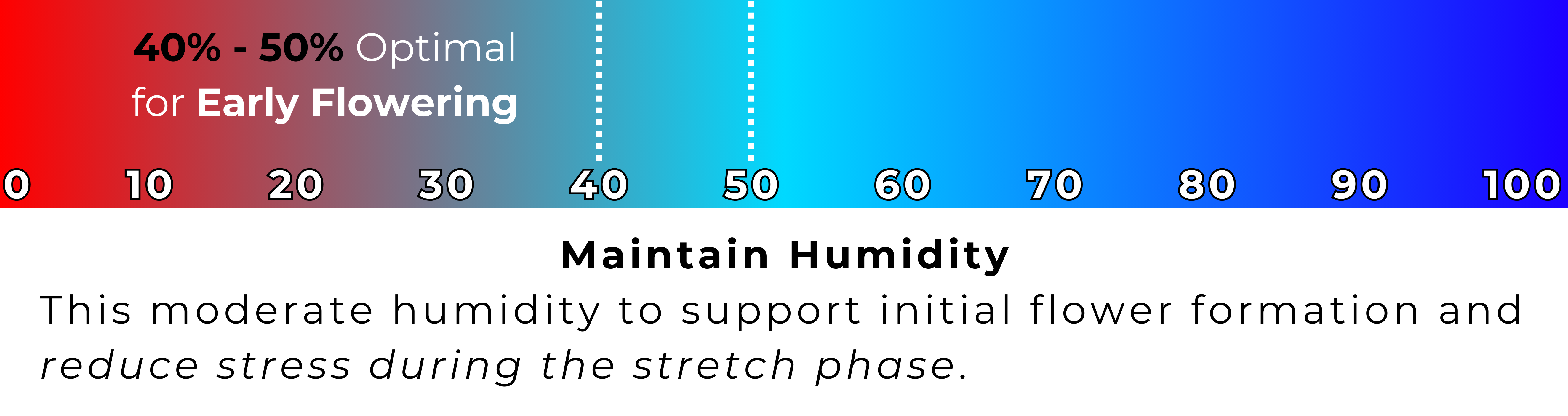 An infographic showing the optimal humidity range for cannabis in the early flowering stage, with a scale from 0 to 100. The 40-50% optimal humidity range is highlighted in a gradient from blue to red, indicating lower risk of mold and support for flower formation. Text below emphasizes maintaining this moderate humidity during the stretch phase.