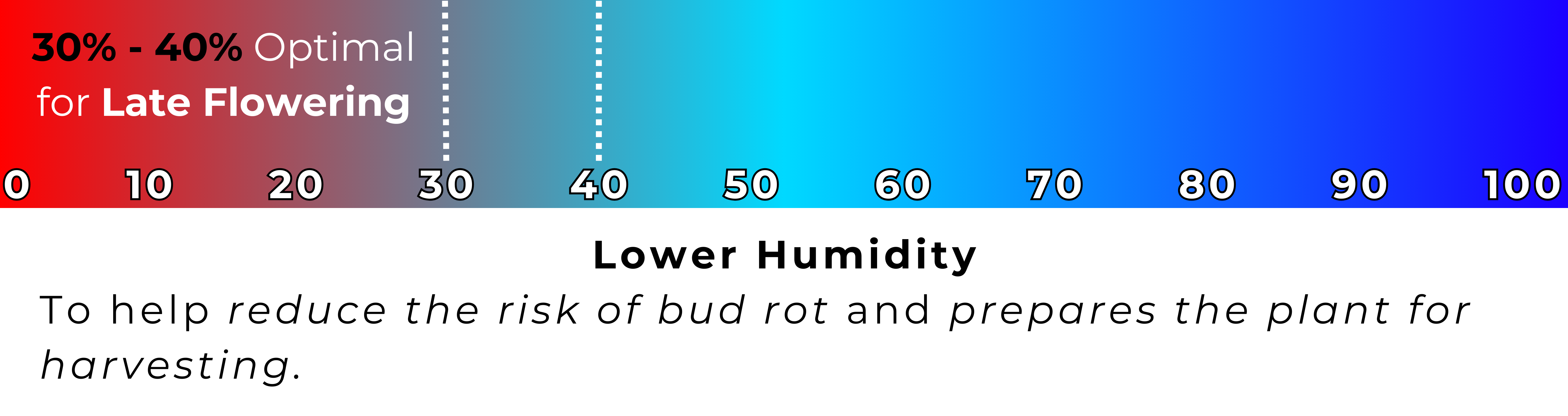"A visual guide illustrating the 30-40% optimal humidity range for the late flowering stage of cannabis growth, set against a 0 to 100 scale with a blue to red gradient. The accompanying text notes this lower humidity helps reduce the risk of bud rot and prepares the plant for harvesting.