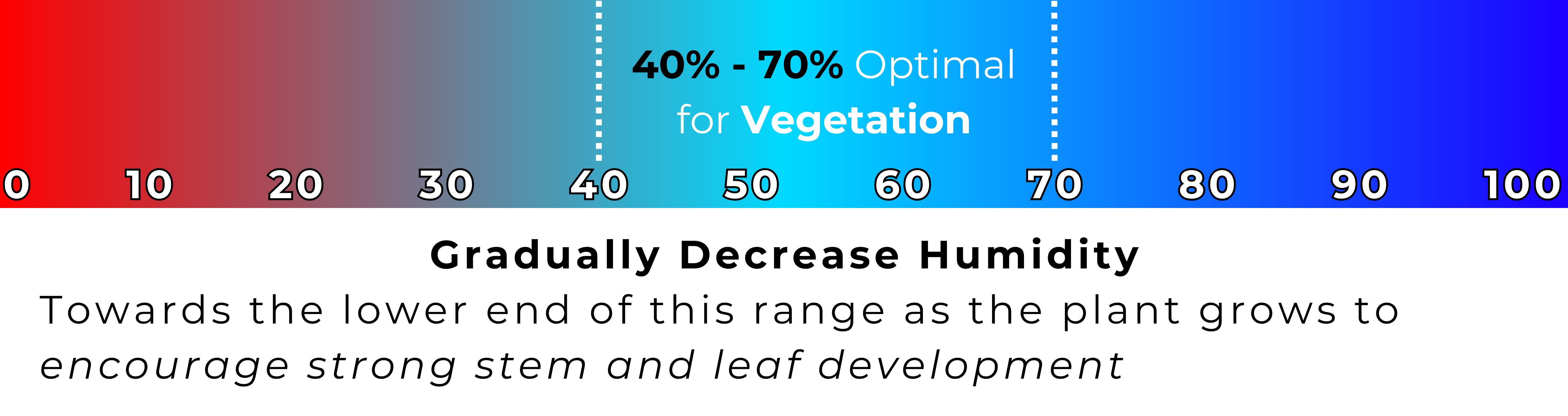 Ideal Humidity Ranges for the Vegetative Stage in Cannabis Cultivation