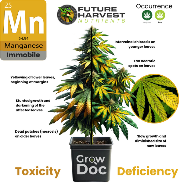 Manganese Toxicity and Deficiency Chart