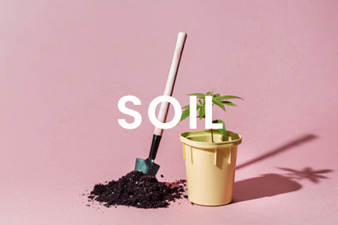 Tips For Growing In Soil