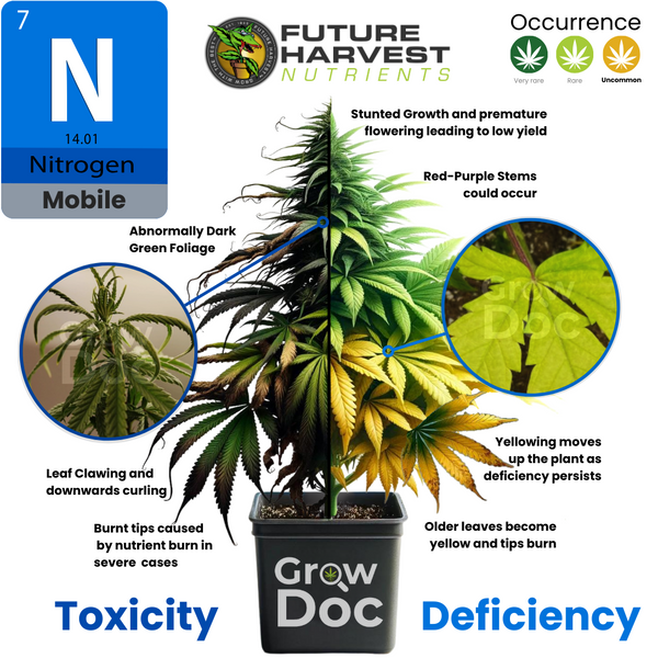 Photo of Nitrogen Deficiency in Cannabis