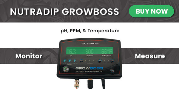 Nutradip Growboss pour surveiller et mesurer le pH, les ppm et la température. Photo du Growboss avec un bouton « ACHETER MAINTENANT » à côté.