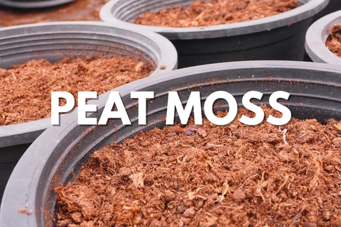 Peat moss for cannabis growing