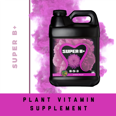 Container of Future Harvest Super B+ with a caption below it that says 'Plant vitamin supplement'