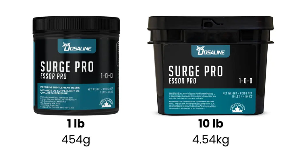 Sizes of Surge Pro packaging