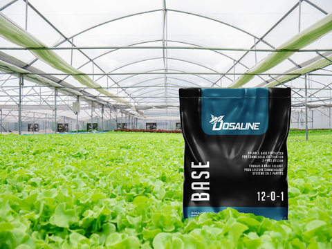 Doseline Base Product In Commercial Facility