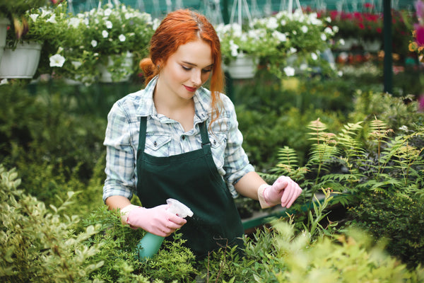 Redheaded Lady Foliar Spraying Plants