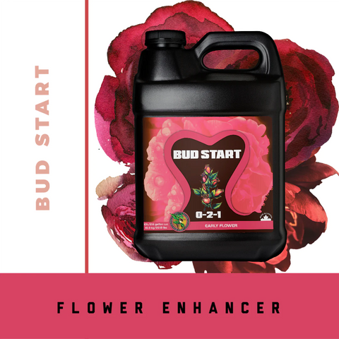 Bloom Boosters: Key to Enhanced Flower Production