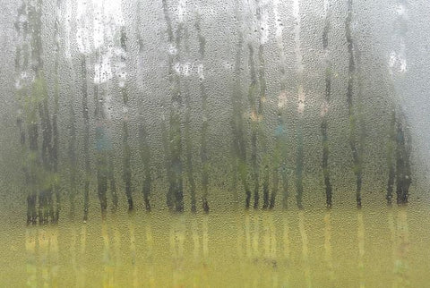 precipitation on window