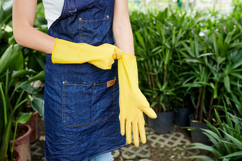 A grower putting on safety gloves before handling Hydrogen Peroxide