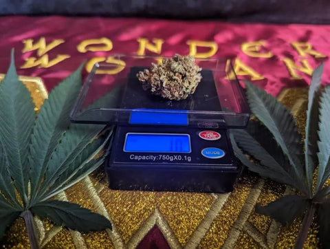 Un gramme de marijuana sur une balance