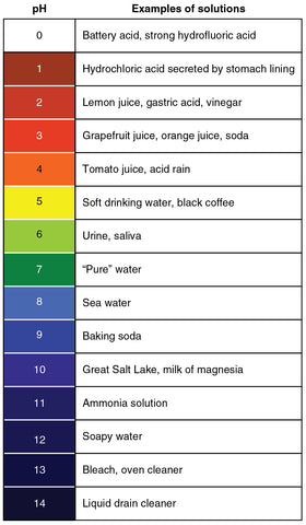 A pH chart that shows examples of solutions that correspond with certain pH levels