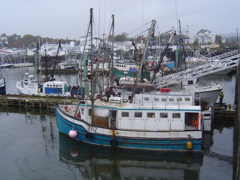 Bottom Trawling Installation 1