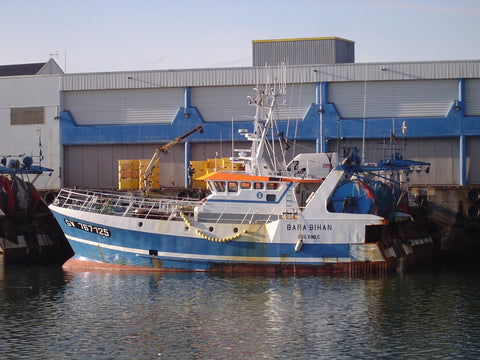 Bottom Trawling Installation 2