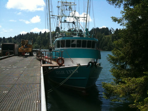 Bottom Trawling Installation 4