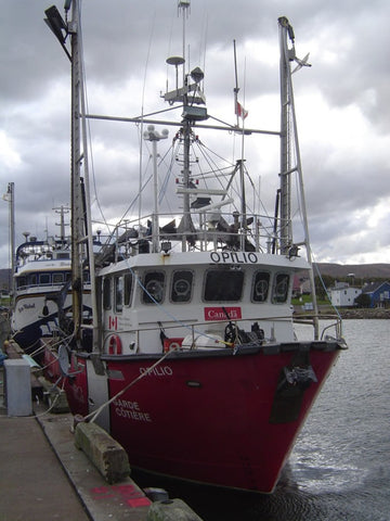 Bottom Trawling Installation 6