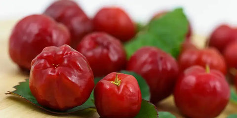 acerola dangers amoseeds specialiste des super aliments Bio