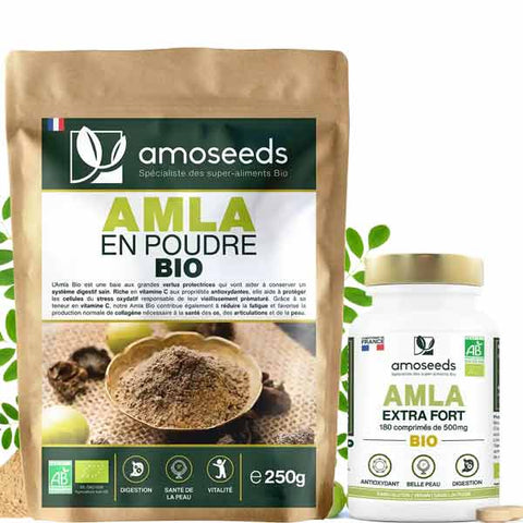 amla poudre bio antioxydants amoseeds specialiste des super aliments Bio