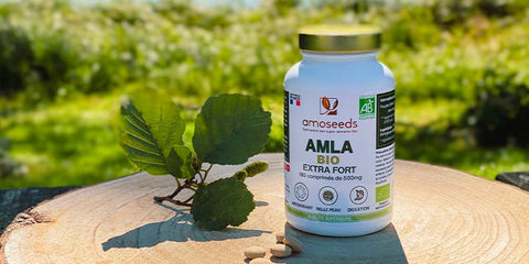 amla complements alimentaires chute cheveux amoseeds specialiste des super aliments Bio