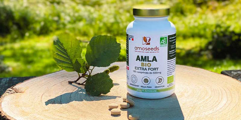 Amla bio comprimes haute concentration amoseeds specialiste des super aliments bio