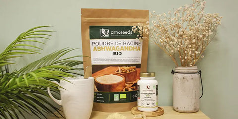 Ashwagandha bio dangers amoseeds specialiste des super aliments bio