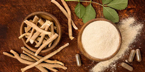 Ashwagandha bio dangers amoseeds specialiste des super aliments bio