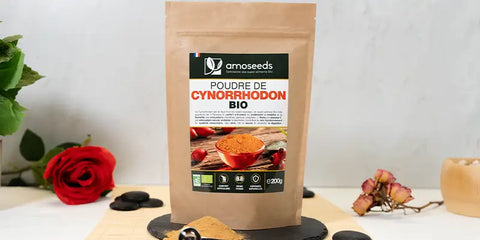 cynorrhodon poudre amoseeds specialiste des super aliments Bio