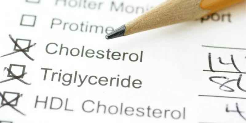 Cholesterol bon mauvais amoseeds specialiste des super aliments bio