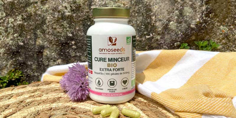 cure minceur gelules coupe faim nopal amoseeds specialiste des super aliments Bio