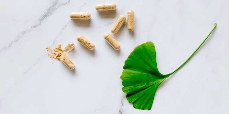 Ginkgo biloba amoseeds specialiste des super aliments bio