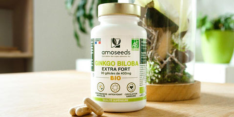 ginkgo biloba Bio gelules amoseeds specialiste des super aliments Bio