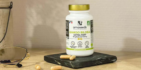 ginkgo biloba amoseeds specialiste des super aliments Bio