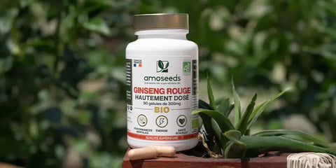 ginseng rouge amoseeds specialiste des super aliments Bio