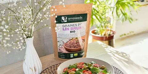 graines lin brun amoseeds specialiste des super aliments Bio