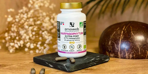 gelules harpagophytum amoseeds specialiste des super aliments Bio