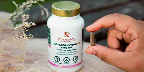 Harpagophytum bio amoseeds specialiste des super aliments bio