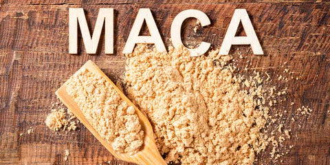 Maca poudre bio amoseeds specialiste des super aliments bio