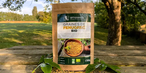 graines fenugrec amoseeds specialiste des super aliments Bio