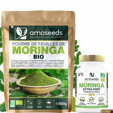 moringa poudre bio antioxydants amoseeds specialiste des super aliments Bio