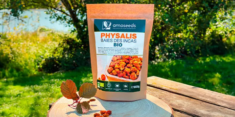 physalis amoseeds specialiste des super aliments Bio